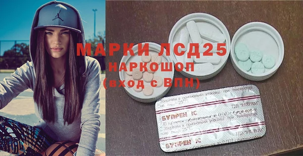 мяу мяу мука Аркадак