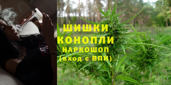 мяу мяу мука Аркадак