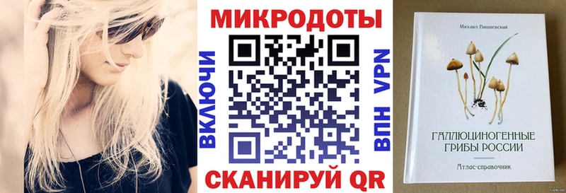 Галлюциногенные грибы Psilocybe Тимашёвск